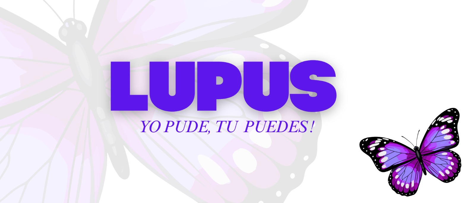 Nuestros Servicios 2